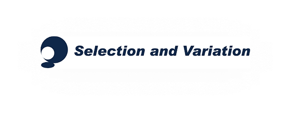 セレクションアンドバリエーション株式会社