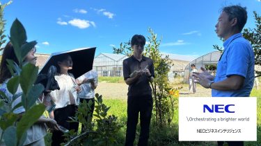 【実施レポート】「越境」がもたらすキャリア自律の原体験。NECビジネスインテリジェンスの若手が挑んだ、異業種での課題解決実証