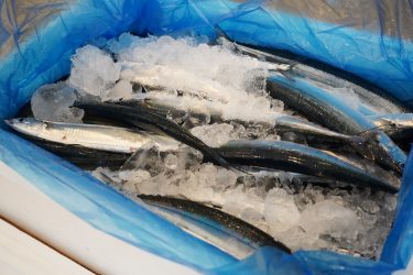 報酬はサンマやカツオ。DXや新規事業創出するプロボノ・副業人材活用法